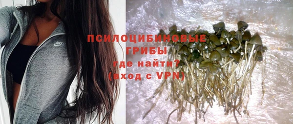 СК Абинск